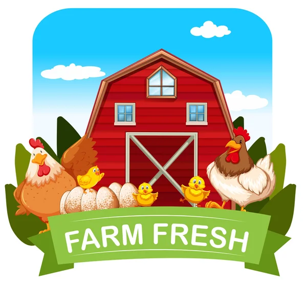 Ферма свежая тема с цыплятами и коровником — стоковый вектор