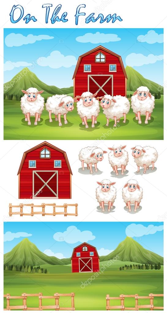 Farm theme with sheeps on the farm