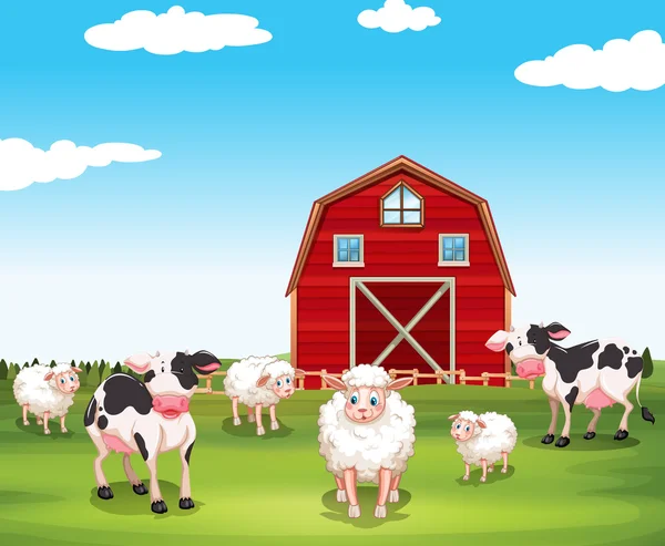 Sheeps és a tehén, a gazdaságban — Stock Vector