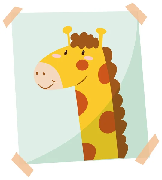 Giraffe фото на стіні — стоковий вектор