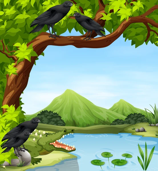 Corbeaux et crocodiles au bord de la rivière — Image vectorielle