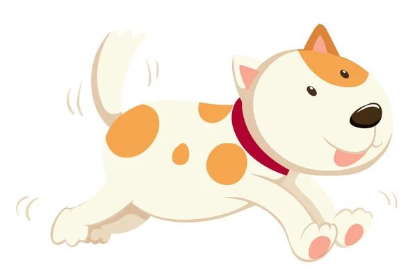 Cute dog running alone — Stock Vector