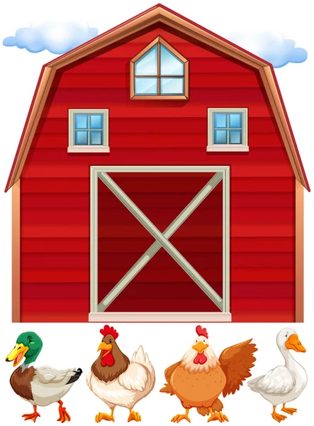 Barn and farm animals — Stock Vector