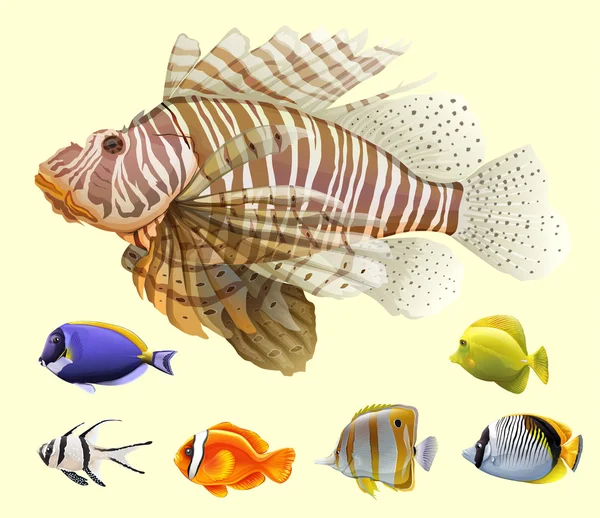 Diferentes tipos de peces — Archivo Imágenes Vectoriales