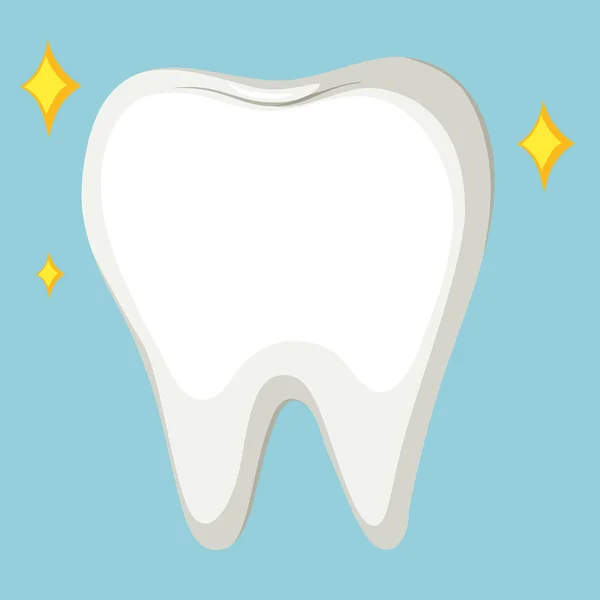 Primo piano dente pulito — Vettoriale Stock