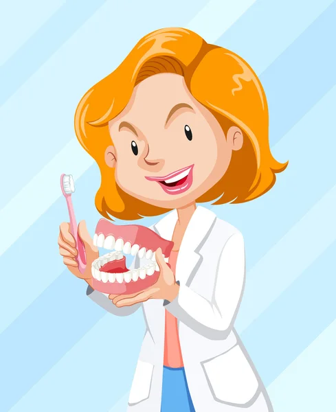 Стоматолог показує, як чистити зуби — стоковий вектор