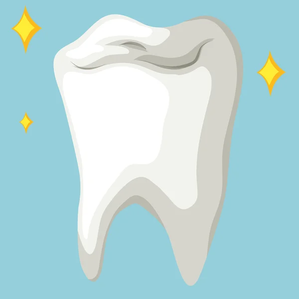 Dent saine en gros plan — Image vectorielle