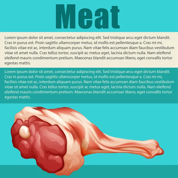 Cartel de alimentos con carne fresca — Vector de stock