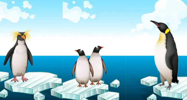 Pinguini in piedi su iceberg — Vettoriale Stock