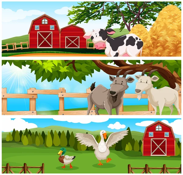 Farm animals on the farmland — Stock Vector