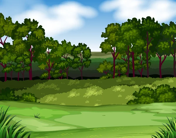 Scène forestière avec arbres et champs — Image vectorielle