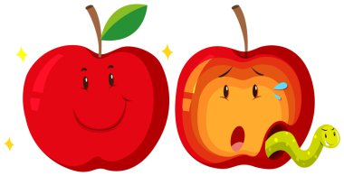 Fresh apple and rotten apple clipart