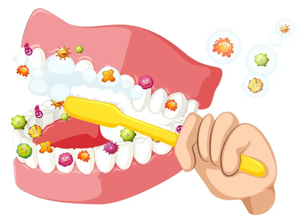 Cepillarse los dientes y limpiar las bacterias — Vector de stock