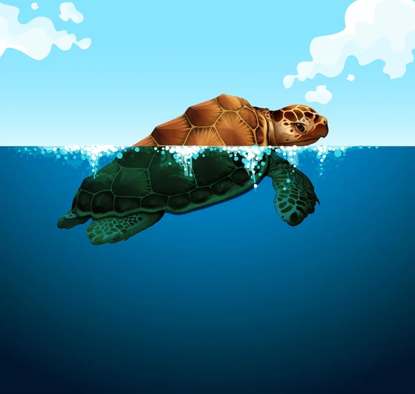 Tartaruga che nuota nell'oceano — Vettoriale Stock