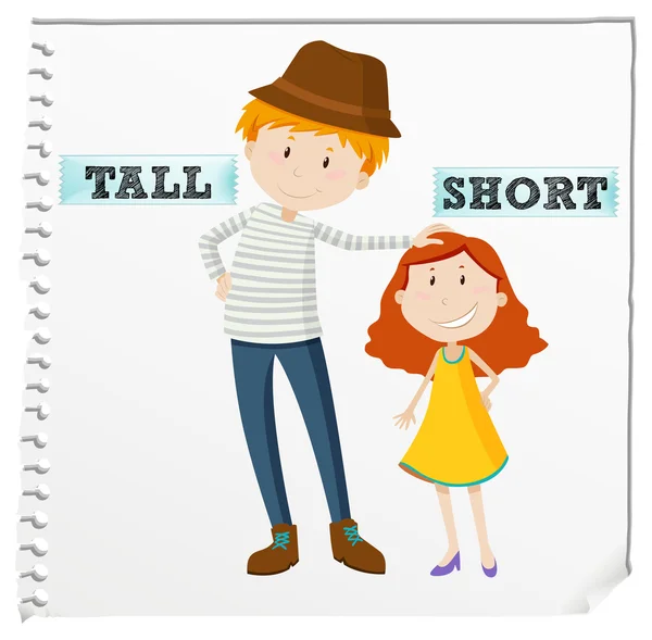 Opposite adjectives tall and short — Stock Vector