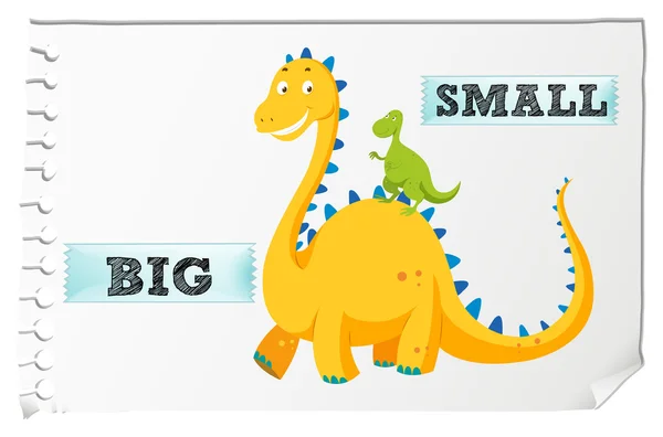 Opposite adjectives with big and small — Stock Vector