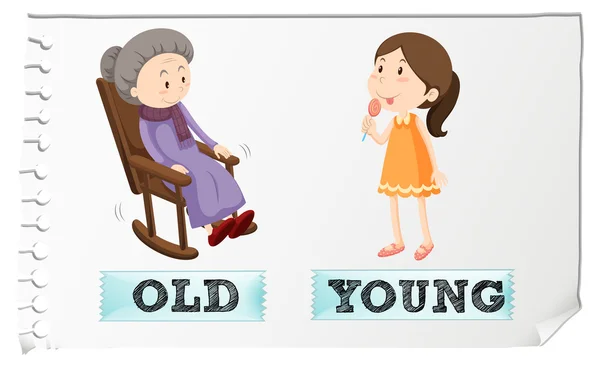 Adjetivos opuestos viejos y jóvenes — Vector de stock