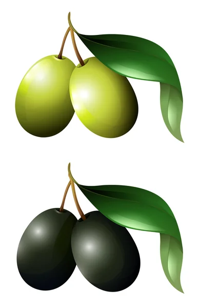 绿色和黑色橄榄叶 — 图库矢量图片