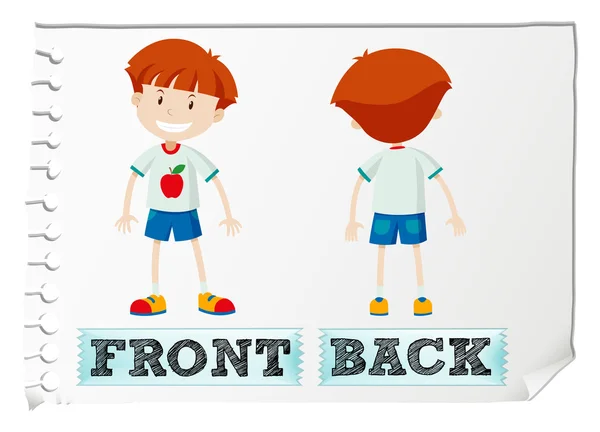 Opposite adjectives with front and back — Stock Vector