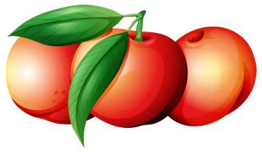 Taze nektarin yaprakları ile