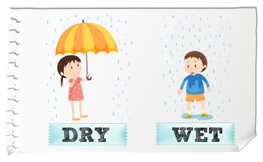 Sıfatlar kuru ve ıslak