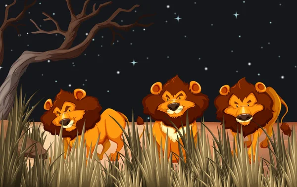 Três leões no campo à noite — Vetor de Stock