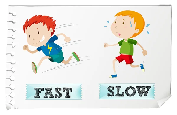 Opposite adjectives with fast and slow — Stock Vector