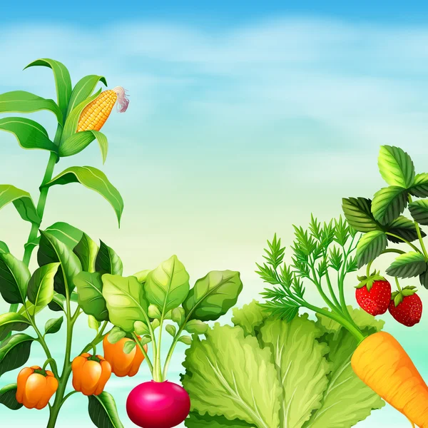 Många typer av grönsaker — Stock vektor