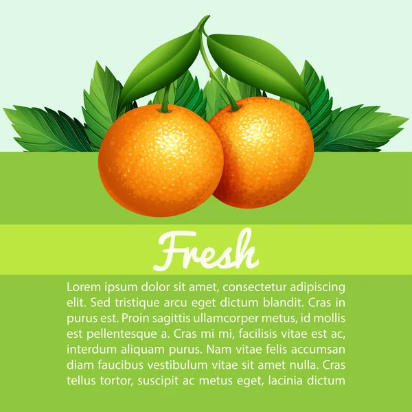 Infografía con naranjas frescas — Archivo Imágenes Vectoriales