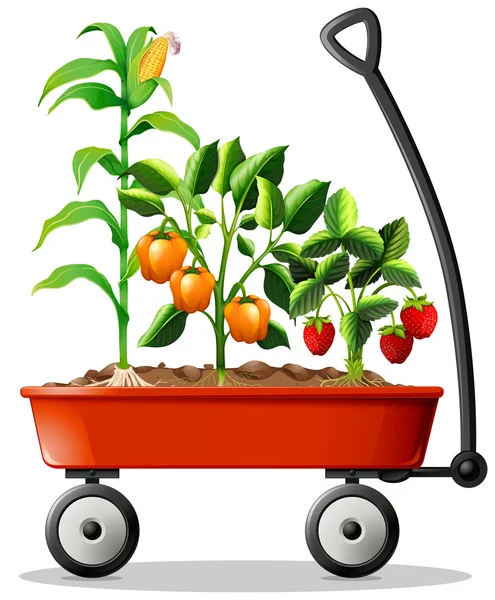 Fresh vegetables and fruits in the cart — Stock Vector