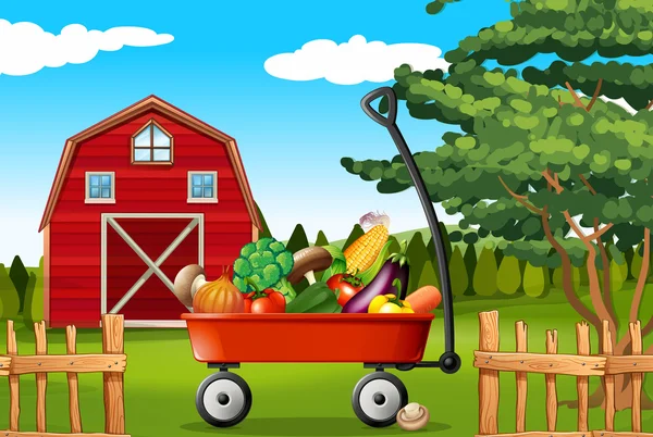 Λαχανικά στο αγρόκτημα — Διανυσματικό Αρχείο