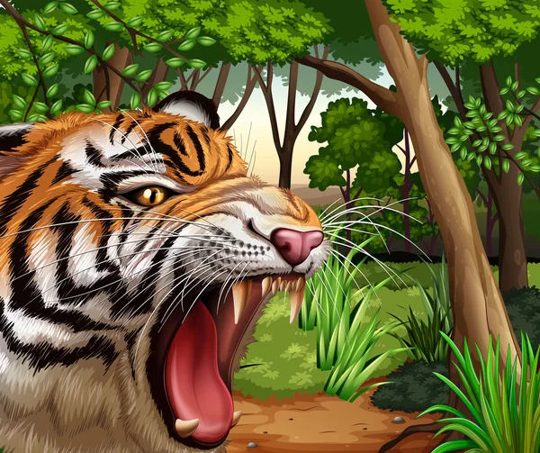 Tigre rugiendo en la selva — Vector de stock