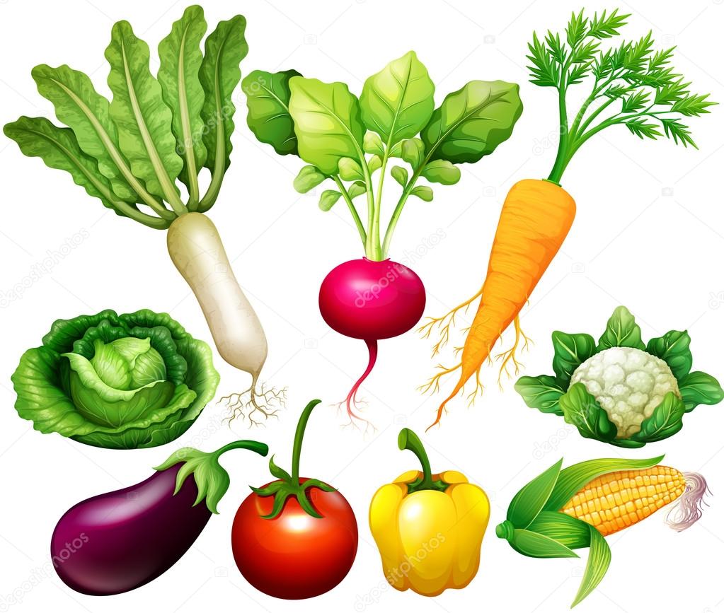 All kind of vegetables