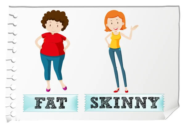 Opposite adjectives fat and skinny — Stock Vector