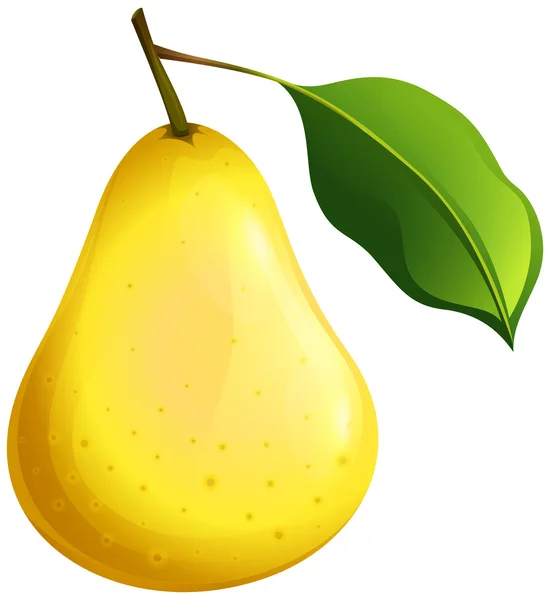 Verse peren met stam — Stockvector