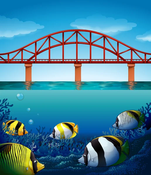 Міст над океаном і під водою сцена — стоковий вектор