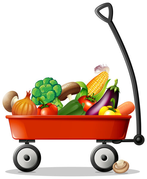 Fresh vegetables in red wagon