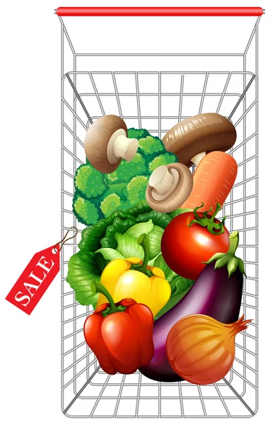 Différents types de légumes dans le panier — Image vectorielle