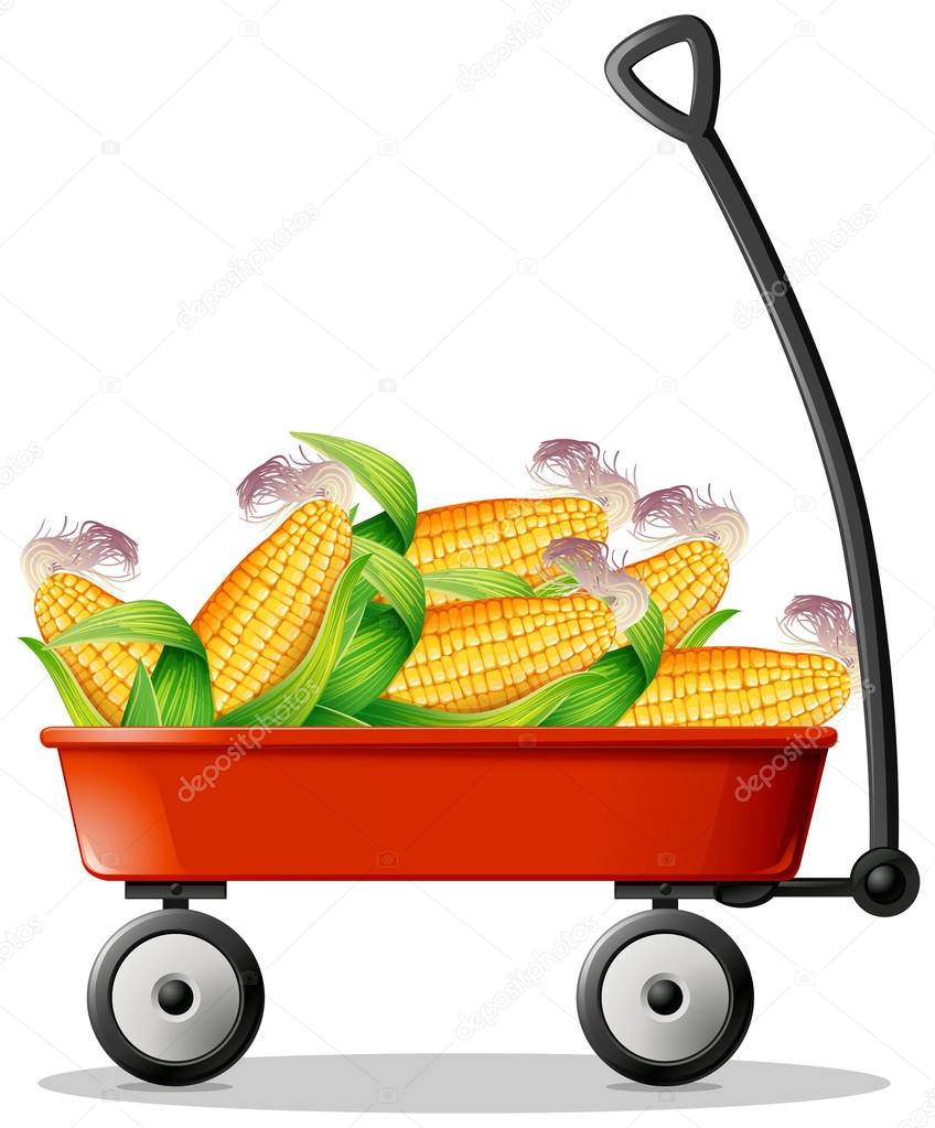 Fresh corn on red wagon