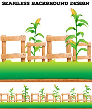 Çit ve Mısır yere