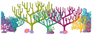 Mercan resifleri farklı renklerde
