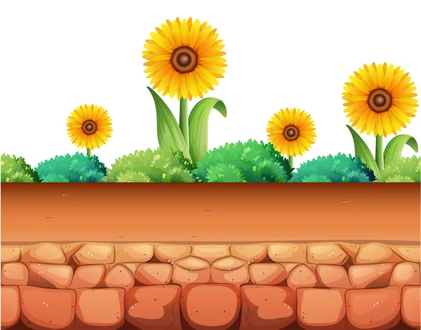 Sunflowers and bush on the ground — Stock Vector