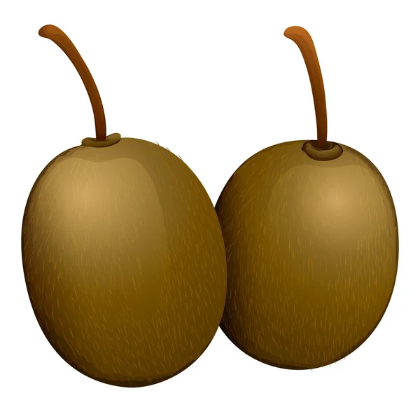 Deux kiwis frais — Image vectorielle