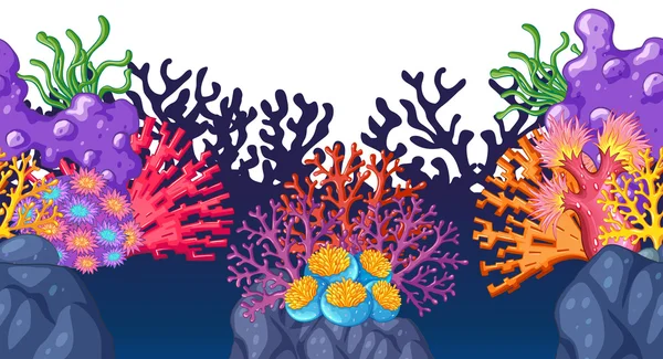 Kleurrijk koraalrif onderwater — Stockvector