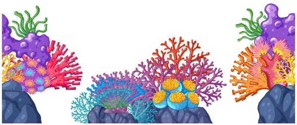 Arrecife de coral en las rocas — Vector de stock