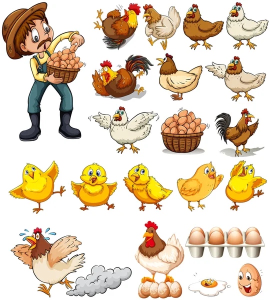 Agricultor recogiendo huevos de gallinas — Vector de stock