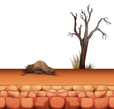 Kaya ve ağaç arka plan tasarımı