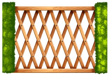 İki tarafta bush ile ahşap ağ geçidi