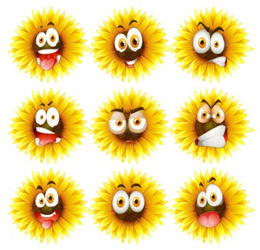 Ayçiçeği yüz ifadesi ile