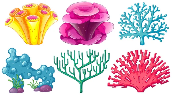 Различные типы коралловых рифов — стоковый вектор